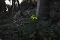 DSC0231 : Lo de Marcos