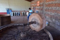 Mezcal Plant  This wheel is pulled around with a donkey and crushes the aquave plants to extract the juice for mezcal.  (No wonder it tastes like donkey dung.)