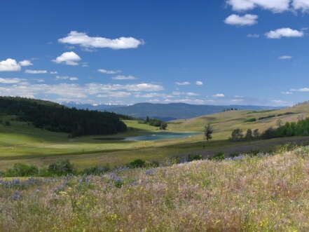 BC Grasslands 2026